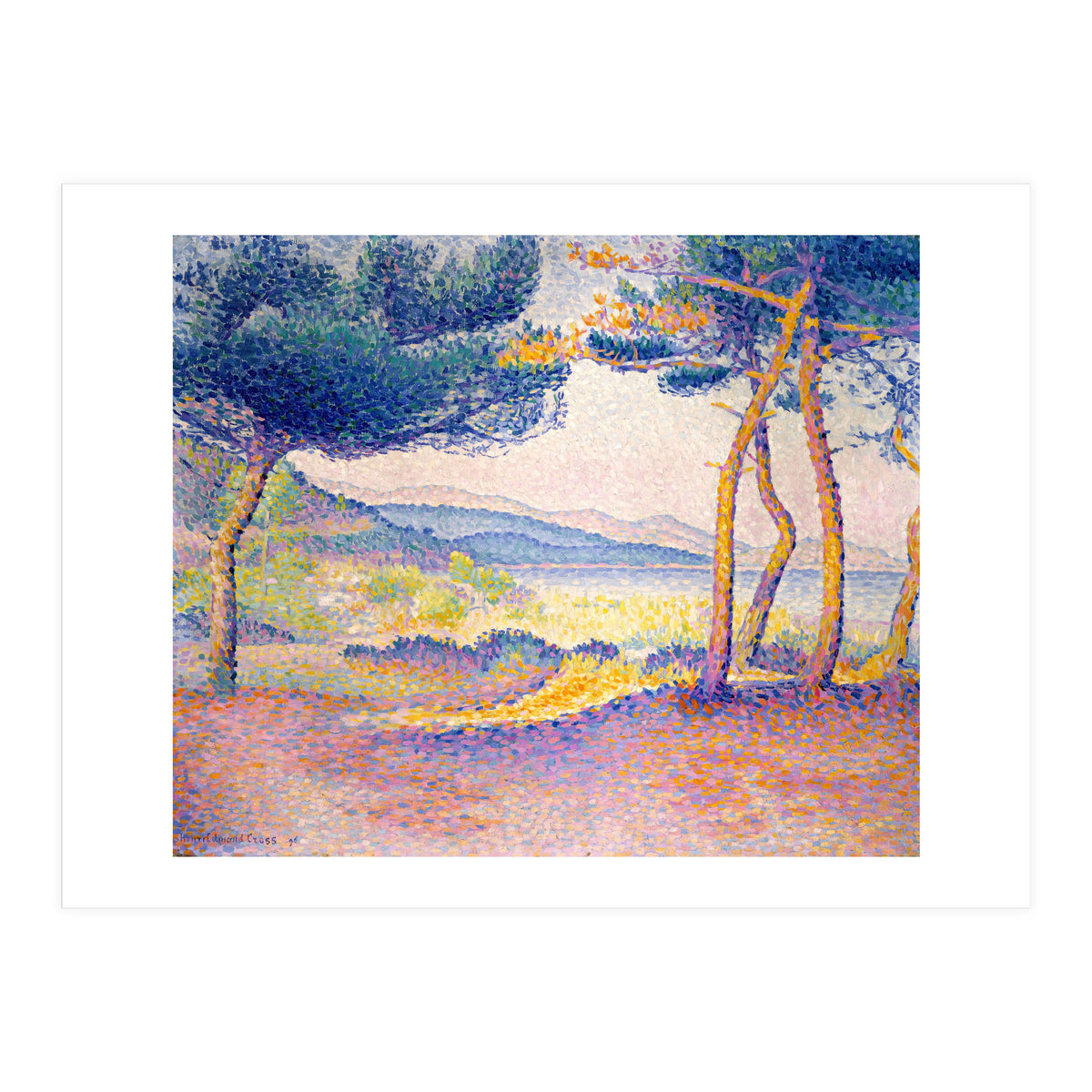 Pines Along the Shore. (Print Only)