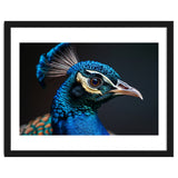 Close Up Peacock Head Blue Green Feather thumbnail