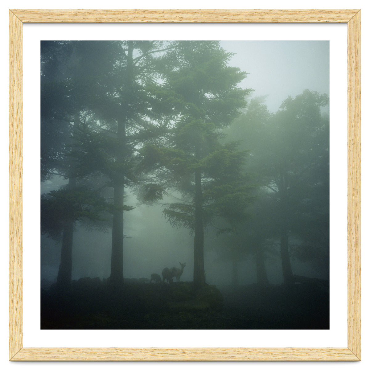 Silence of breath - 10