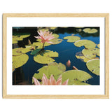 Lotus Pond | Landscape thumbnail