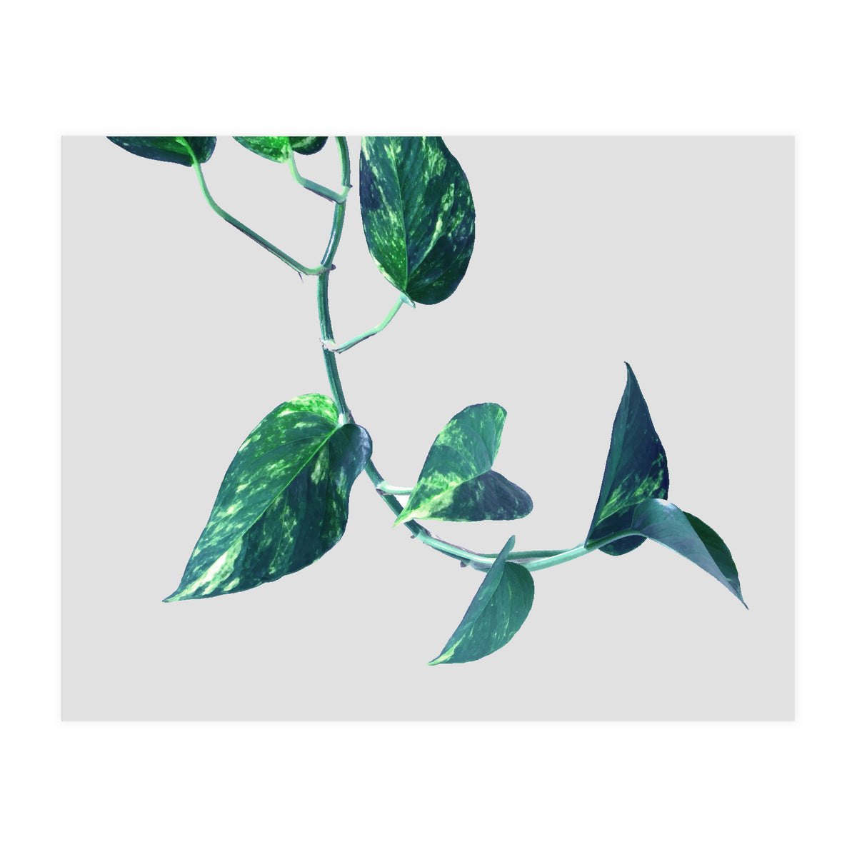 Projection & Emotion (Print Only)