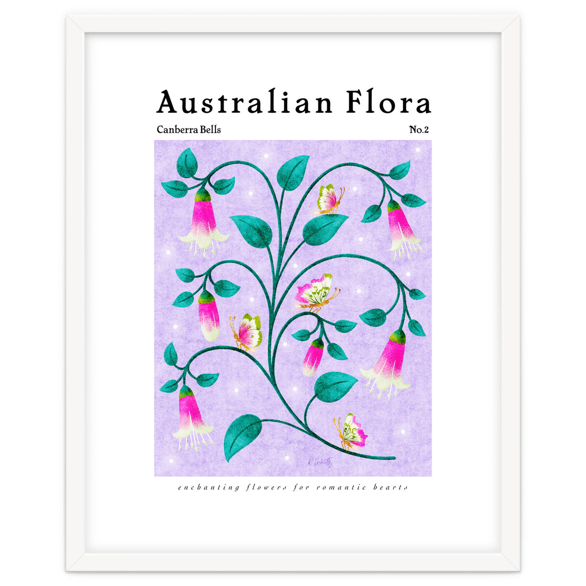 Australian Flora: Canberra Bells