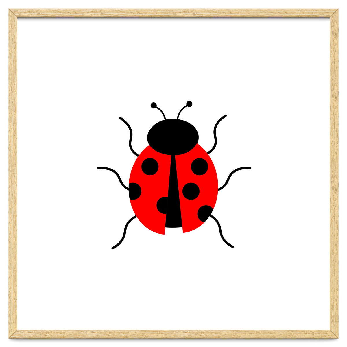 Lady Bug