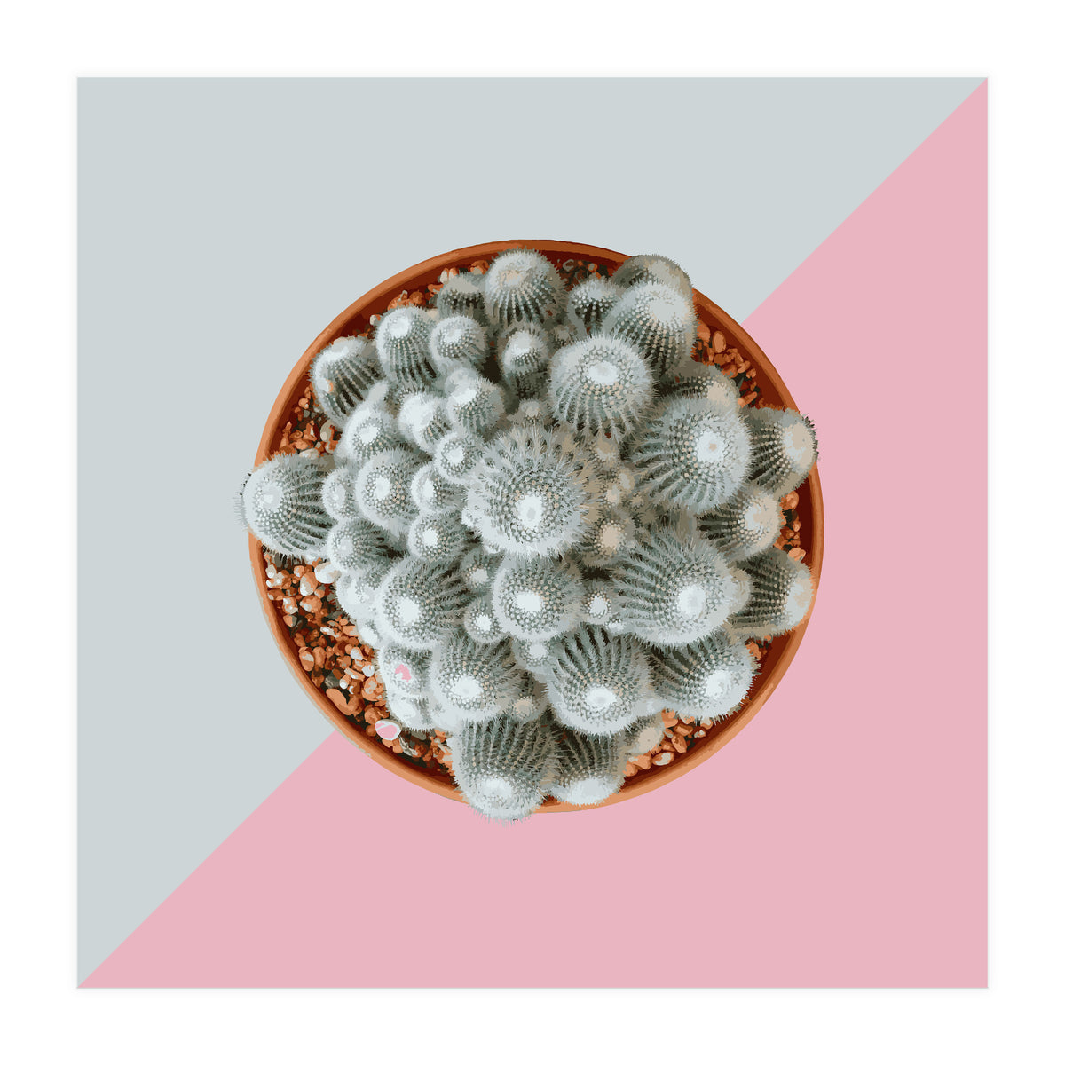 Clementine (Print Only)