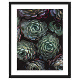 Succulent Plant Ii thumbnail