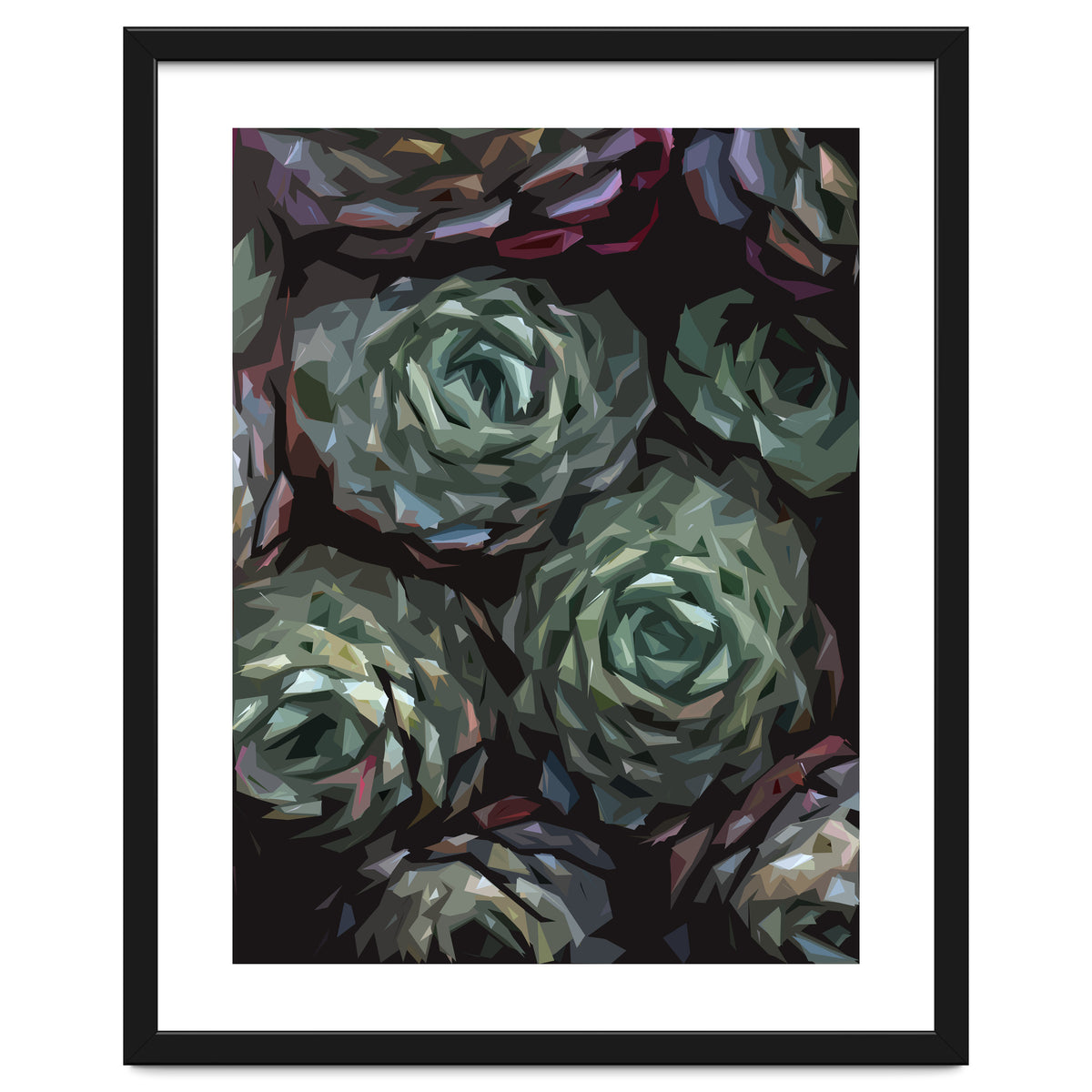 Succulent Plant Ii