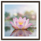 Ethereal Lotus Bloom: Serene Botanical Reflection thumbnail