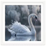 Majestic White Swan Gracefully Floating On Water thumbnail