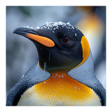 King Penguin In Falling Snow (Print Only) thumbnail