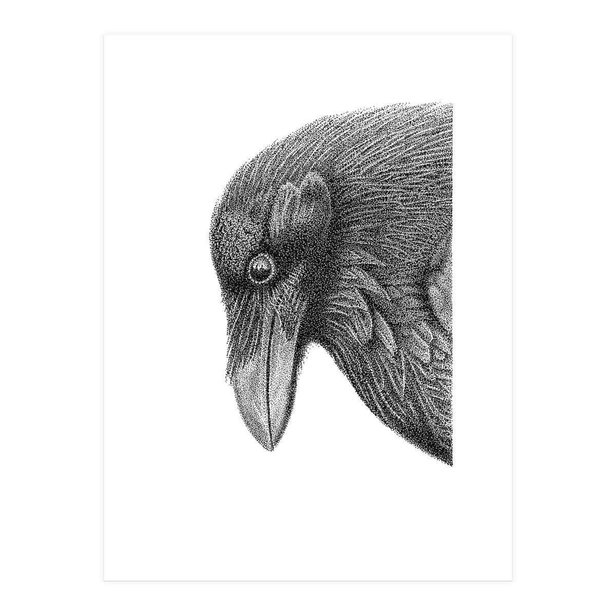 Huginn (Print Only)