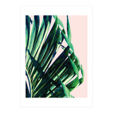 Palm V2 (Print Only) thumbnail