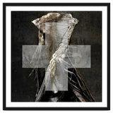 Grey Cross Wraith thumbnail