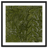 Forest Dense Foliage