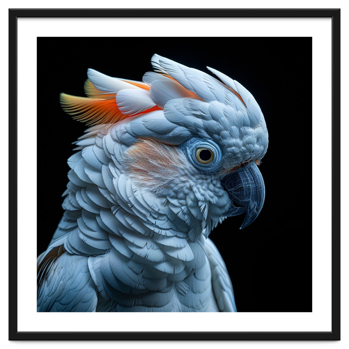 Close Up Of A Cockatoo Parrot Head