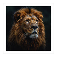 Majestic Lion Portrait In Gentle Rain (Print Only)