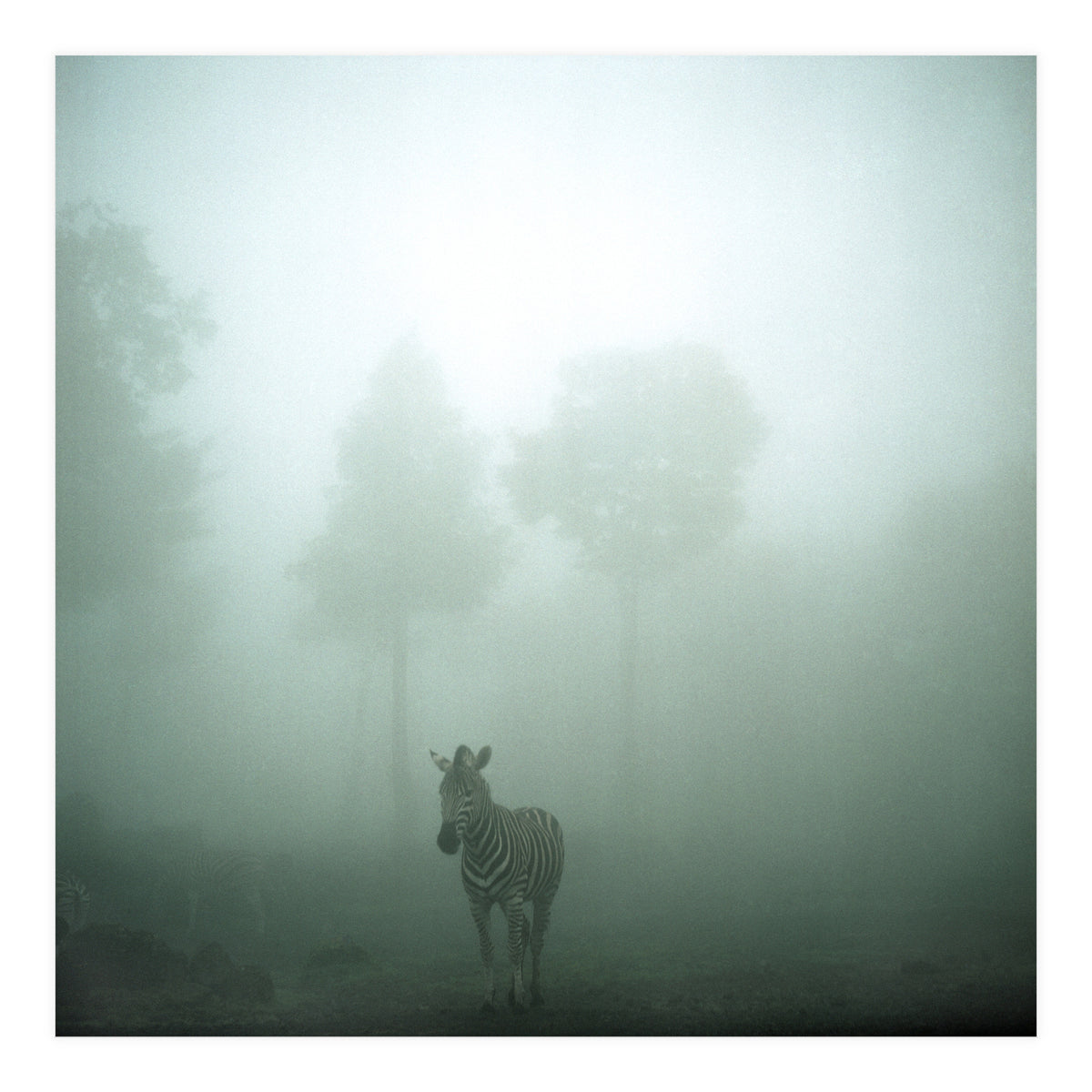 Silence of breath - 01 (Print Only)