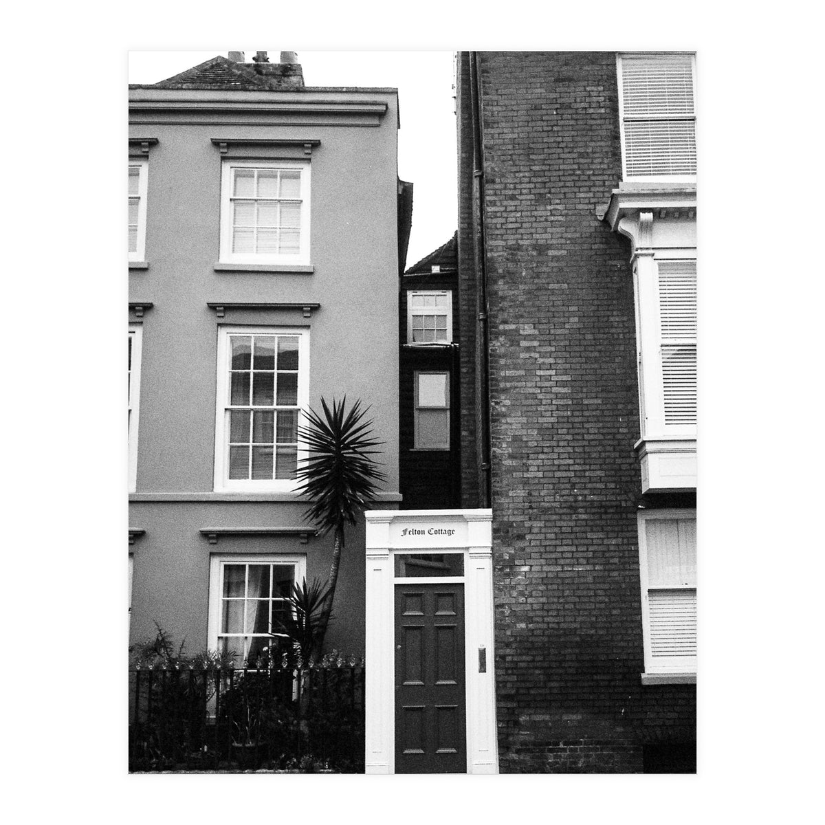 Narrow Living (Print Only)