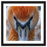 Close Up Of A Pelican's Beak With Water Droplets thumbnail