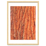 Tree Bark thumbnail