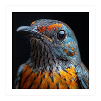 Close Up Of A Colorful Exotic Bird Head (Print Only)