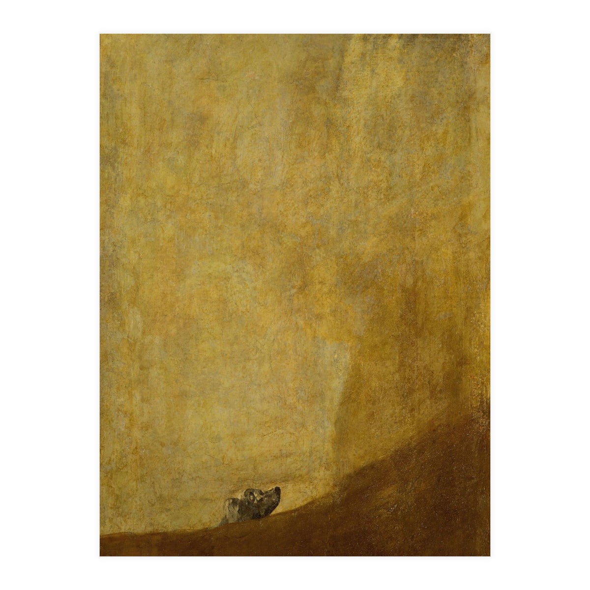Dog, half submerged. One of the &quot; from the Quinta del Sordo, Goya's house.1819-1823. (Print Only)