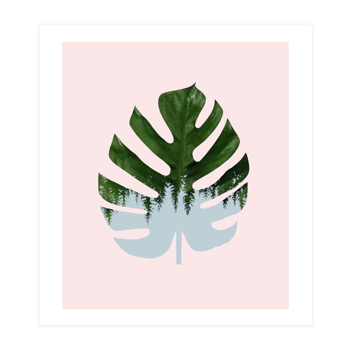 Monstera (Print Only)