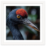 Black Crane Bird Head With Red Crown And Raindrops thumbnail