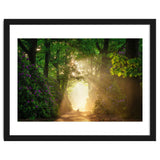 Hare in paradise thumbnail
