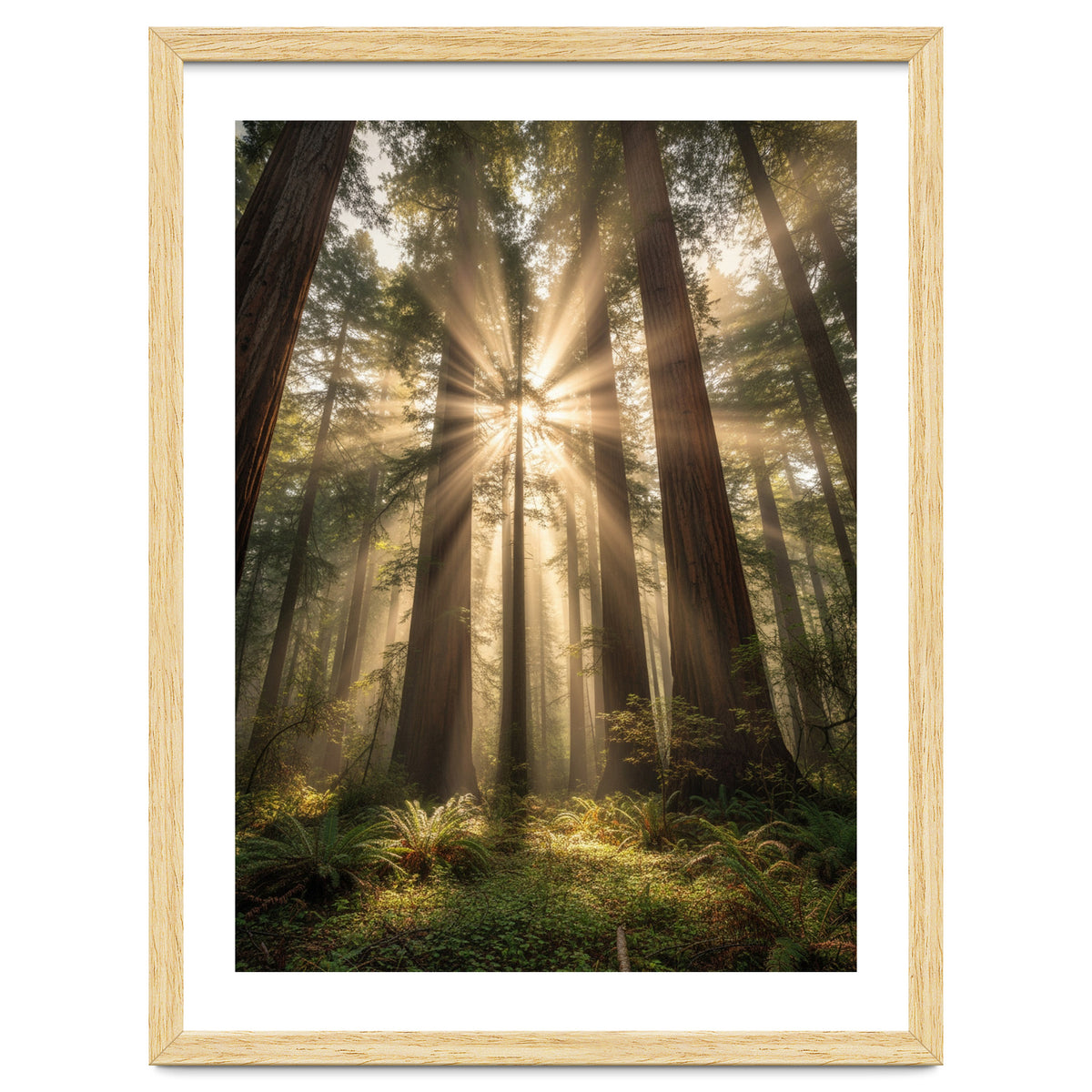 Ethereal Redwood Sanctuary: Sunbeams in the Ancient Forest