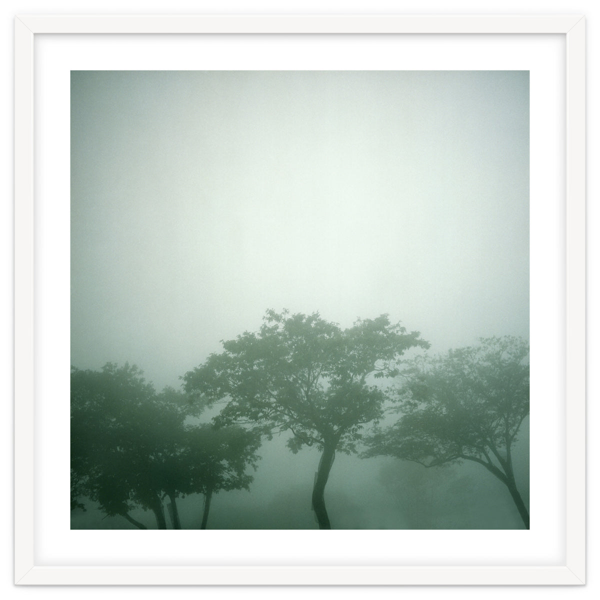 Silence of breath - 17