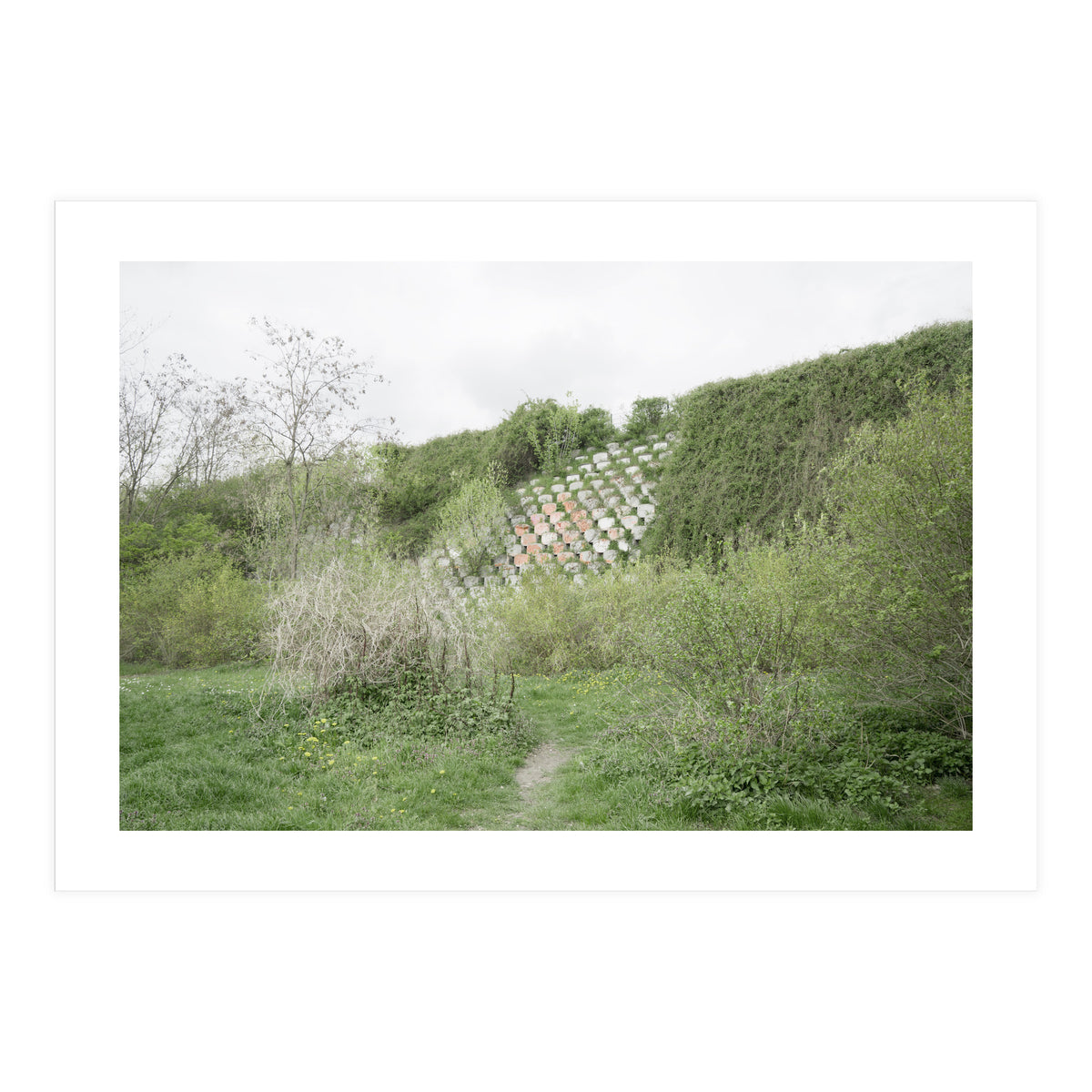 Green grass wall (Print Only)