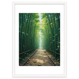 The Emerald Path: A Sun-Drenched Journey thumbnail