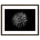 Backyard Flowers In Black And White No 20 Flow Version with Border thumbnail