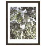 Mother Nature thumbnail