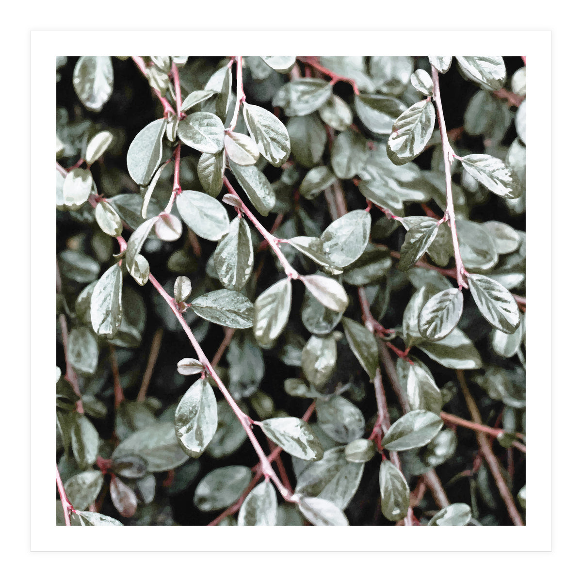 Rain #society6 #decor #buyart (Print Only)