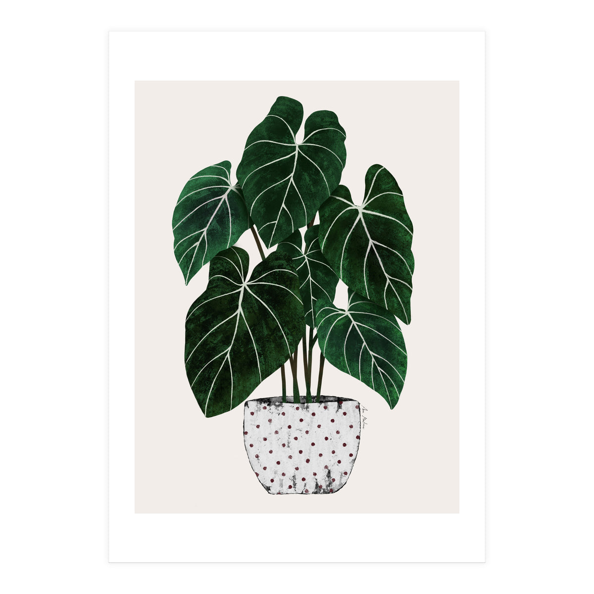Philodendron Plant (Print Only)