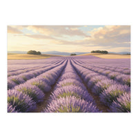Provençal Sunset: Lavender Field Landscape (Print Only)