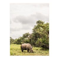Rhino in Uganda (Print Only)