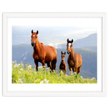 Three Horses thumbnail