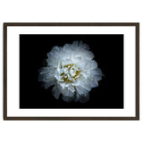 Backyard Flowers No 90 Color Version thumbnail