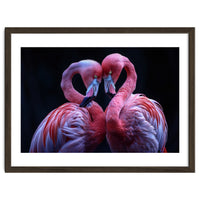 Two Pink Flamingos Forming A Heart Shape
