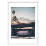Palm Springs Pink thumbnail