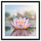 Ethereal Lotus Bloom: Serene Botanical Reflection thumbnail