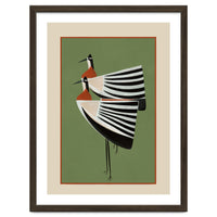 Striped Bird Pair