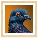 Close Up Of A Pigeon's Head And Neck thumbnail