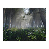 Art In The Forest (Print Only) thumbnail
