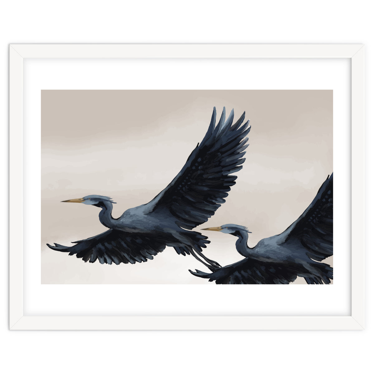 Migrating Herons