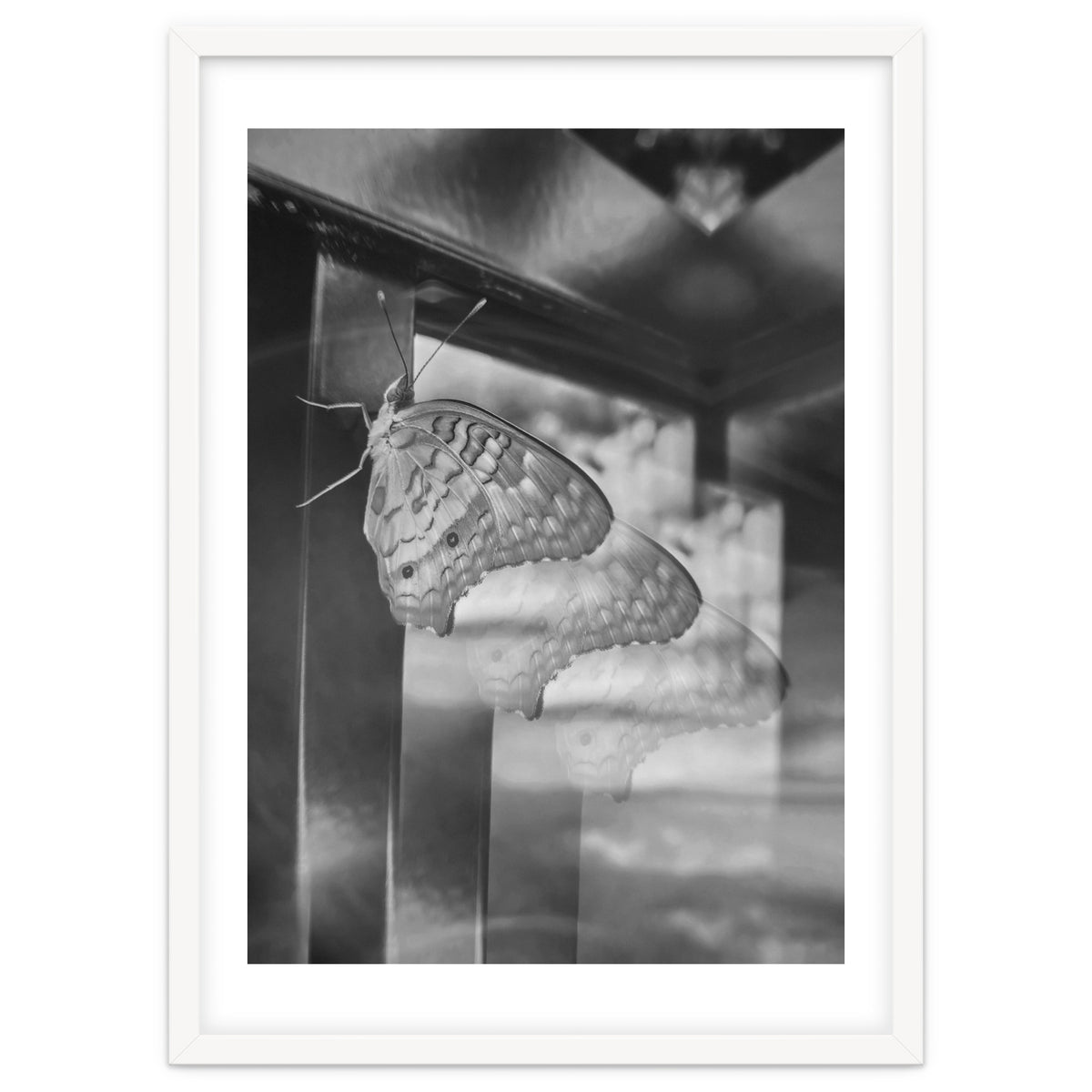 Evolving | Black & White