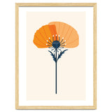 Orange Half Poppy thumbnail