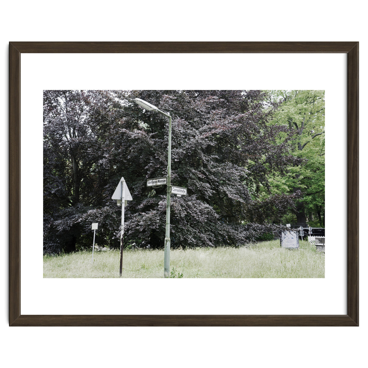 Signs at the corner of the street